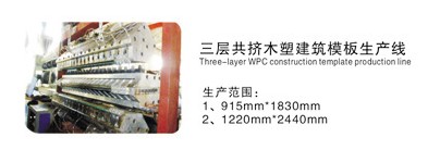 PE\PP多層復(fù)(fù)合塑料建筑模板生產(chǎn)(chǎn)線(xiàn)